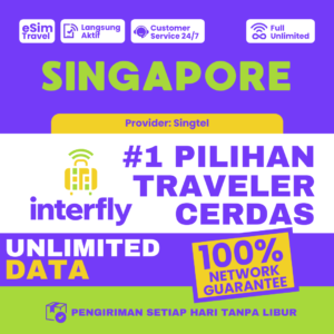 eSIM Interfly Singapore Unlimited
