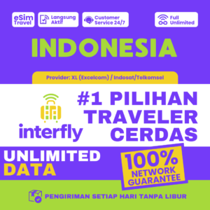 eSIM Interfly Indonesia Unlimited