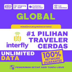 eSIM Interfly Global Worldwide Unlimited